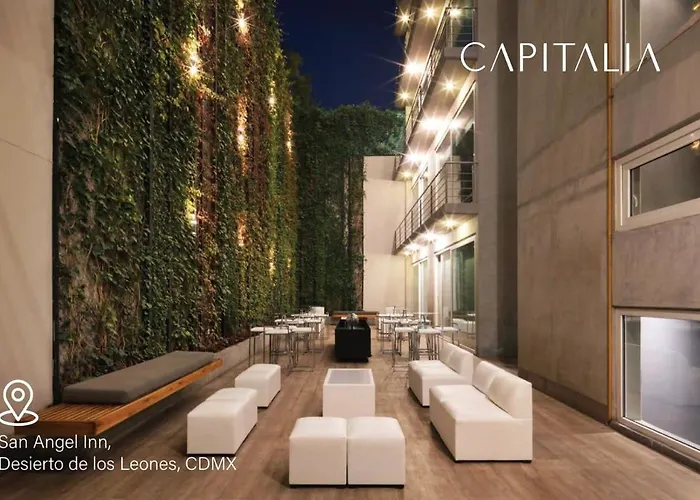 Capitalia Calm Escape With Gym Near Frida Museum Cidade do México